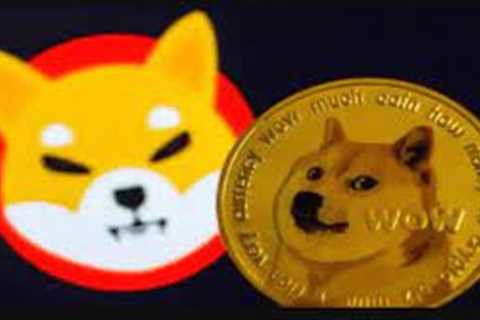 BABY DOGE COIN AND EGC- TOP BINANCE CHAIN CURRENCIES SURGES IN 2022 - DogeCoin Market News Now