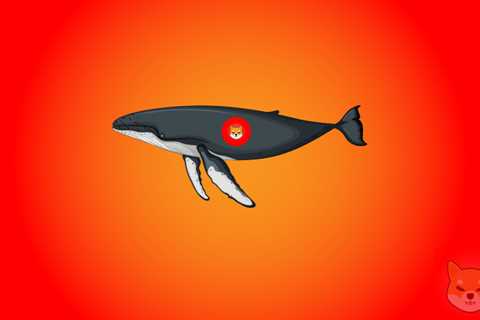 Top ETH Whales Now Holds 18.6 Trillion Shiba Inu Tokens Worth $2.7 Billion - Shiba Inu Market News