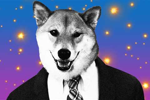 Twitter and media outlets state Shiba Inu can be traded on Revolut - but Revolut is silent - Shiba..