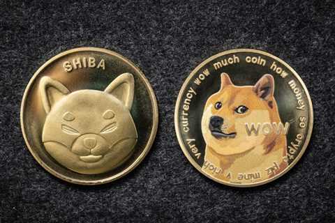 Ukraine requests dogecoin donations as meme coin ‘exceeds Russian ruble’