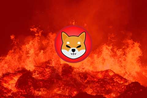213 Million Shiba Inu Burnt In 24 Hours, An Increase Of 1003.5% From The Previous Day - Shiba Inu..