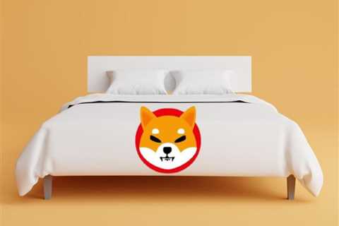 American Mattress Store Announces Accepting Shiba Inu as Payment
