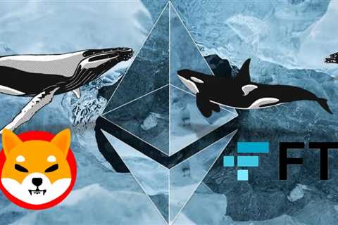 Shiba Inu Vs FTX Token; What do Ethereum whales say?