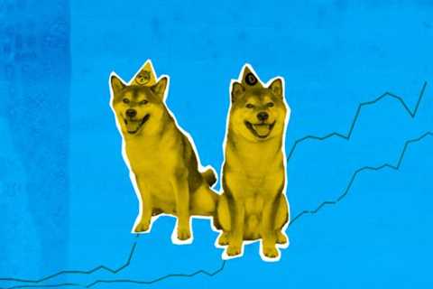 Meme Coins: What’s Happening? By DailyCoin - Shiba Inu Market News