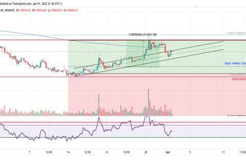 Shiba Inu price shows serious bullish strength as bulls finds support on the daily trend - Shiba..