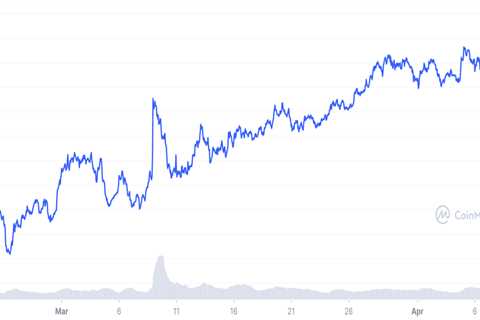Monero defies crypto market slump with 10% XMR price rally — what’s next?