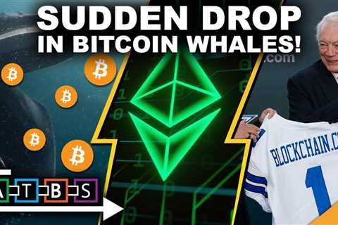 Sudden Drop in Bitcoin Whales Has Investors Nervous (HUGE Ethereum Upgrade Postponed)