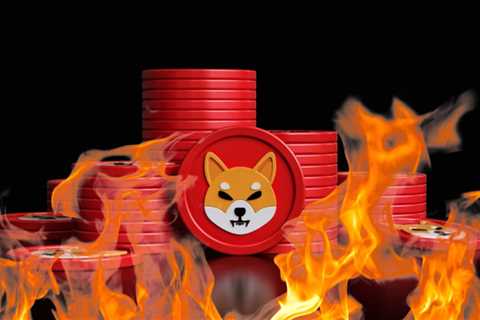 Here’s Why the Shiba Inu Burn Portal Could Lead To 100x Gains