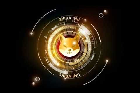 Why Shiba Inu Whales are continuously buying more tokens?