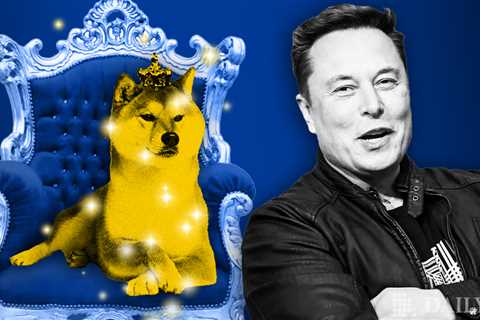 Dogecoin Shines as Elon Musk Shows Support — DailyCoin - Shiba Inu Market News