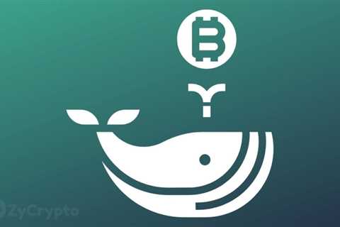 Bitcoin Whales Fill Their Bags Despite Warnings BTC Price Could Nosedive To $20,000