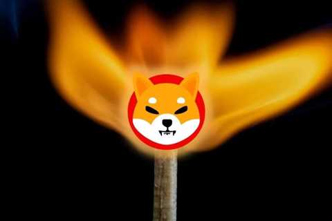 A Mysterious Wallet Burns Over 10 Billion Shiba Inu in a Single Transaction