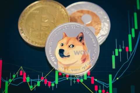 Elon Musk Being Sued Over Dogecoin Does Not Mean He is Guilty, Says CZ