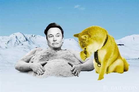 Elon Musk Says He’ll Continue Supporting and Buying Dogecoin DOGE Despite Lawsuit and Bearish..