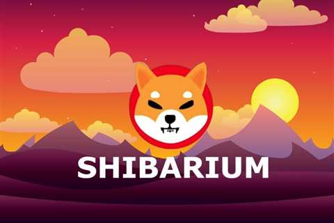 What Makes Shibarium Special? Explained