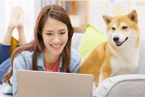 Here's How Much You Would've Made If You Had Bought Shiba Inu in Early 2021 - Shiba Inu Market News