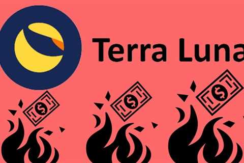 Terra Subsidiary to Channel Money from Overseas Found; Details