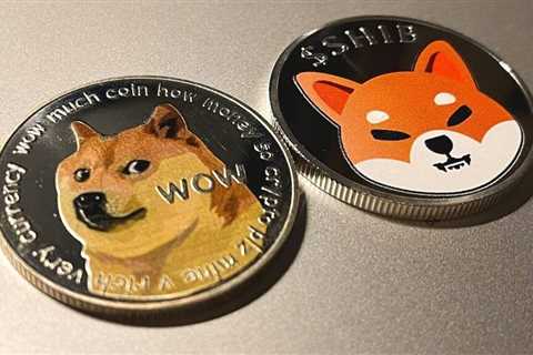 $1000 in Shiba Inu and DOGE in 2020 is Worth This Much Today