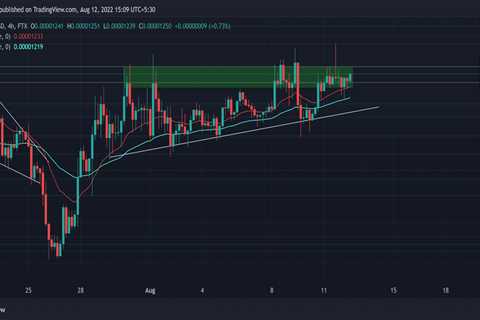 Shiba Inu accumulation at this price level could be beneficial - Shiba Inu Market News