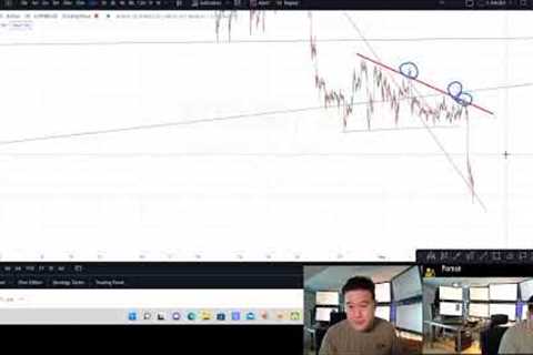 Bitcoin Fund Manager Live Stream