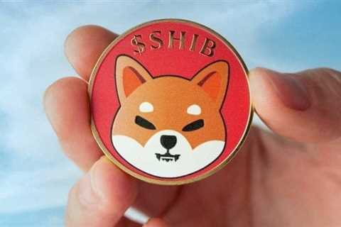 SHIB adds over 40,000 new holders in 3 months as number of addresses breaks past 1.2 million -..