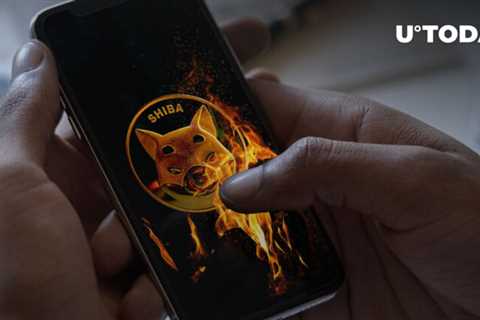 Billions of SHIB Could Be Burned with This New App: Details