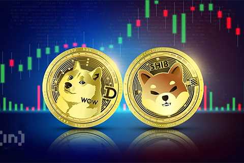 Why SHIB And DOGE Prices Risk Falling to New Yearly Lows - Shiba Inu Market News