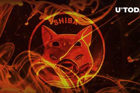 SHIB Burn Rate Spikes 1,720% After Shiba Inu Price Cools Down - Shiba Inu Market News