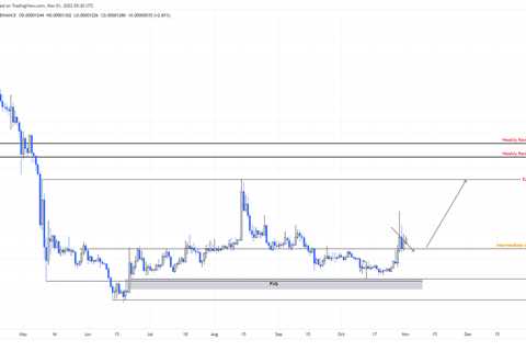 Can launch of Shiba Eternity players guide trigger a 50% rally for SHIB? - Shiba Inu Market News
