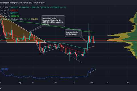 How Shiba Inu's recent gains amidst the crypto winter can mold its trajectory - Shiba Inu Market..