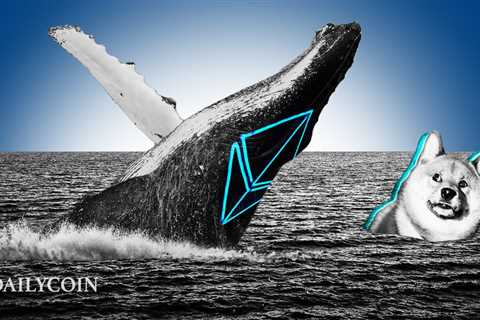 Shiba Inu (SHIB) Sees Massive Inflow Of Ethereum (ETH) Whales - Here’s Why - Shiba Inu Market News