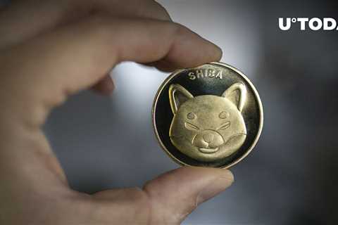 Number of SHIB Holders Changing in Unexpected Way - Shiba Inu Market News