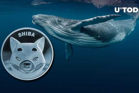 5.6 Trillion SHIB Shifted by Whales as Shiba Inu Aims at Year-End Move - Shiba Inu Market News
