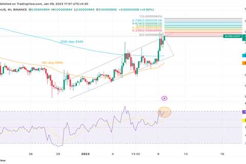 Here’s what to expect from Shiba Inu price with spike in trade volume and the burn rate - Shiba Inu ..