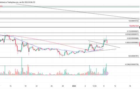 SHIB 9% rally doubles in volume, will the uptrend hold? - Shiba Inu Market News