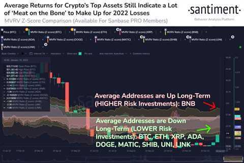 Bitcoin, Ethereum, XRP and Cardano have more meat on the bone, rank in undervalued assets in 2023