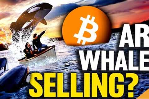 Bitcoin Whales Making BIG Moves! (Time To Sell?)